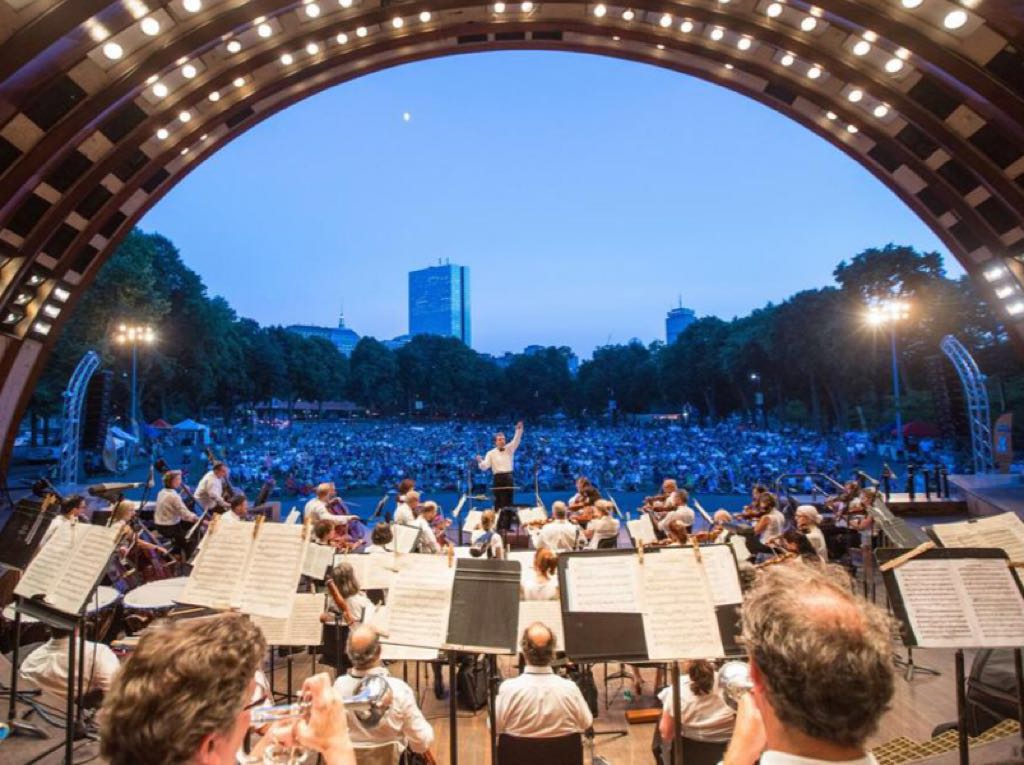 hatchshell, boston