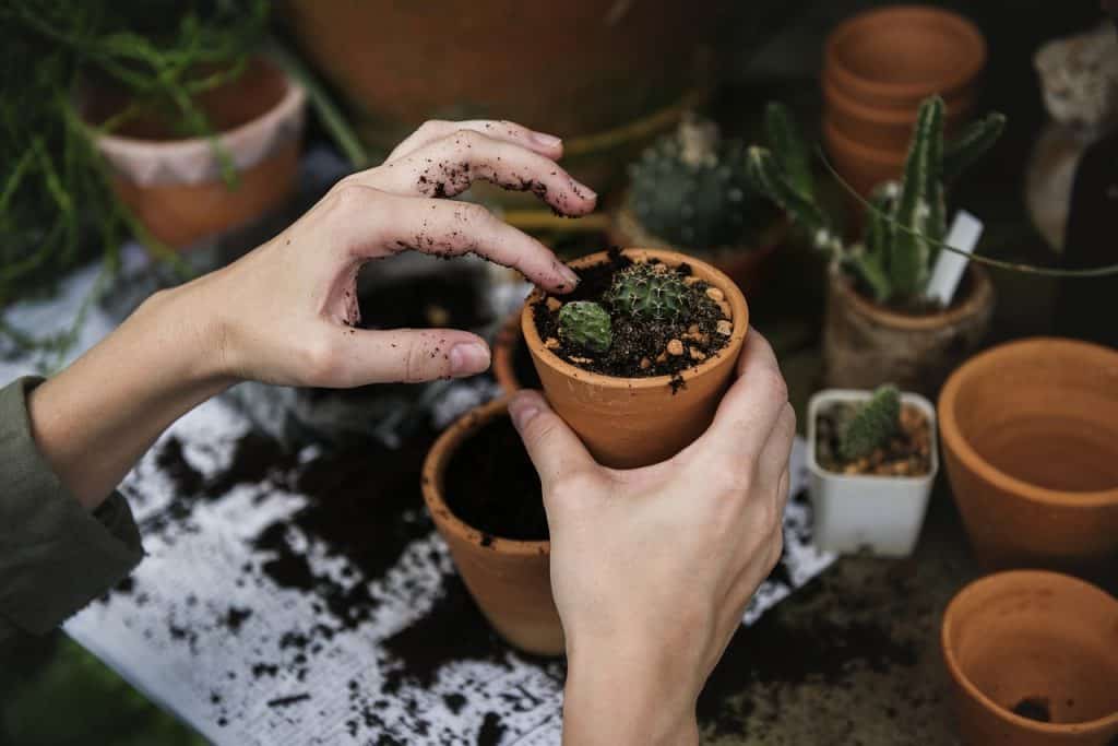 Projetos educacionais inovadores pelo mundo