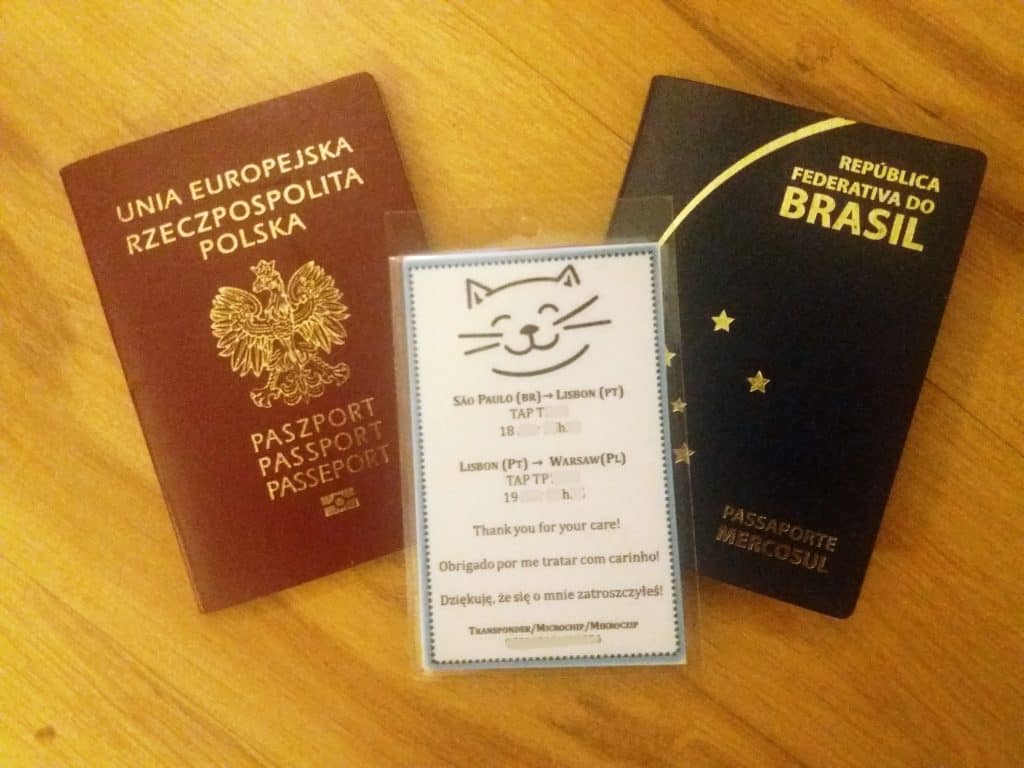 Como levar seu pet para a Polônia