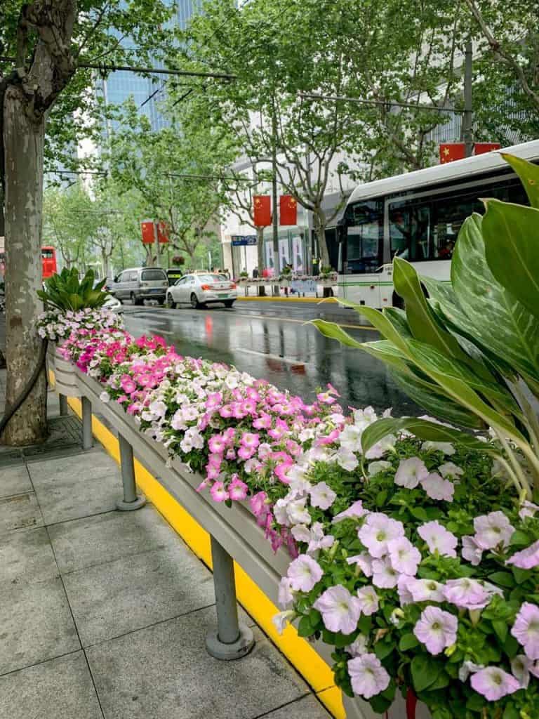 O caos e organização do transporte na China