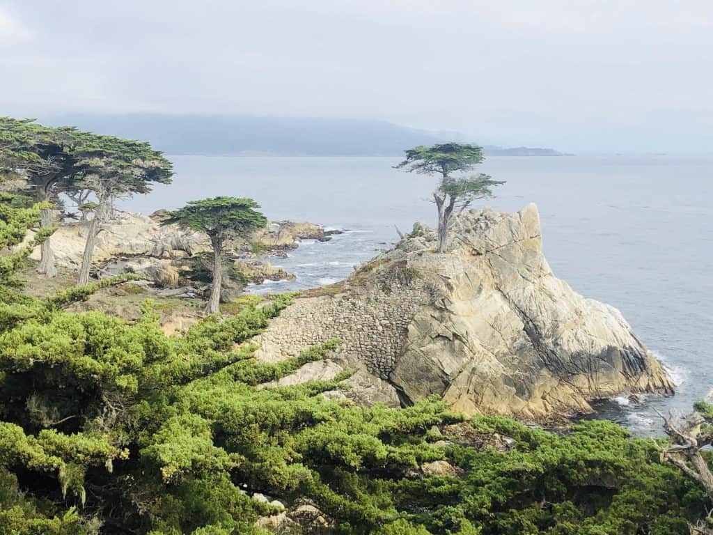 17-mile-drive - Lone Cypress. Fonte: arquivo pessoal