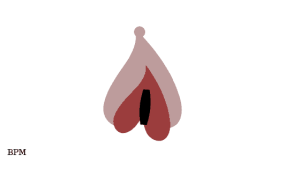 clítoris