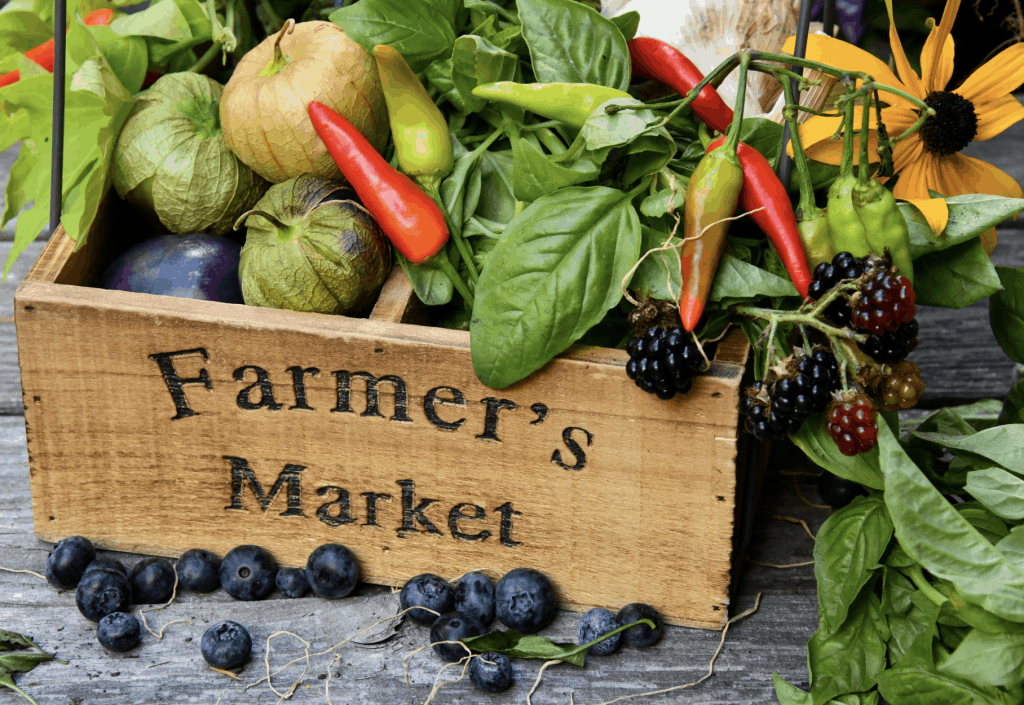 Não dá pra comer bem nos Estados Unidos – mito ou verdade? foto da Shelley Pauls @shelleypauls, retirada do Unsplash.com, royalty free.