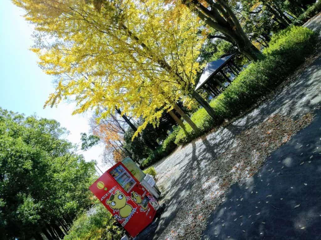 5 modelos de negócios no Japão durante a pandemia Máquinas de venda automática no parque