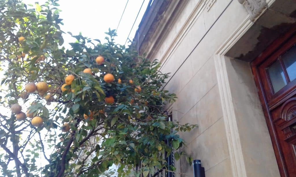 Paradoxos argentinos